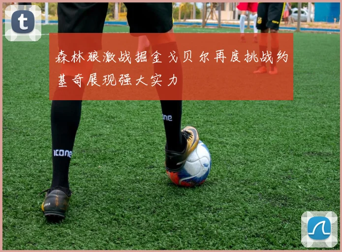 森林狼激战掘金戈贝尔再度挑战约基奇展现强大实力