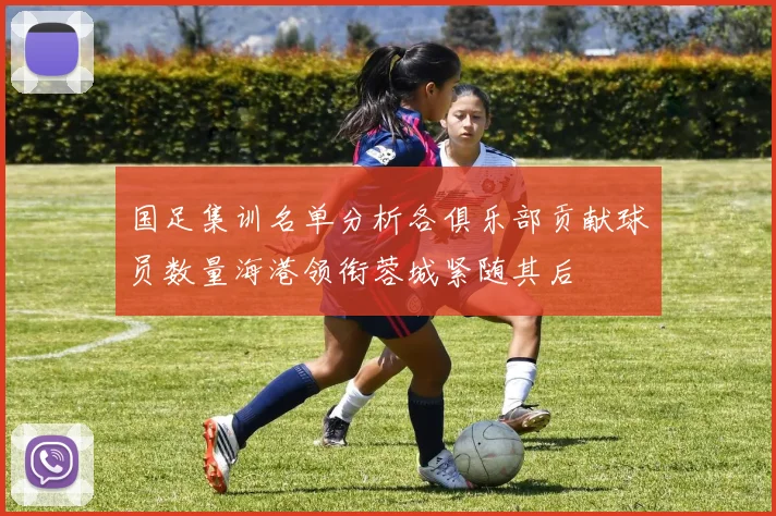 国足集训名单分析各俱乐部贡献球员数量海港领衔蓉城紧随其后